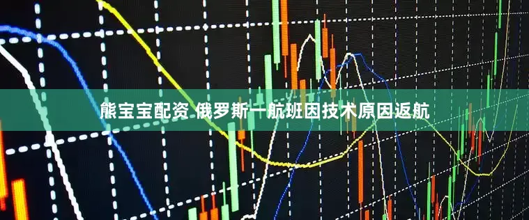 熊宝宝配资 俄罗斯一航班因技术原因返航