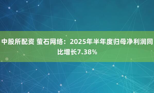 中股所配资 萤石网络：2025年半年度归母净利润同比增长7.38%