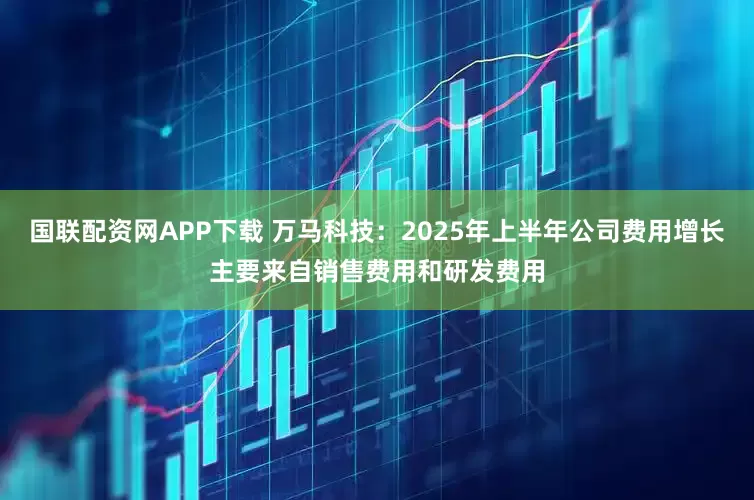 国联配资网APP下载 万马科技：2025年上半年公司费用增长主要来自销售费用和研发费用